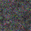 World at epoch 5000