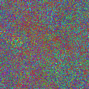World at epoch 19000