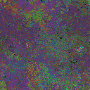 World at epoch 63000