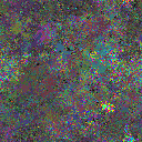 World at epoch 64000