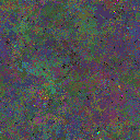 World at epoch 69000
