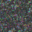 World at epoch 20000