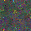 World at epoch 75000
