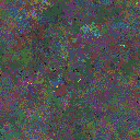 World at epoch 80000
