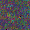 World at epoch 77000