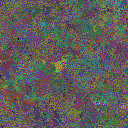 World at epoch 77000