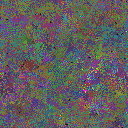 World at epoch 77000