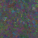 World at epoch 79000