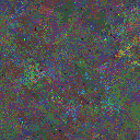 World at epoch 80000
