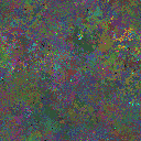 World at epoch 81000