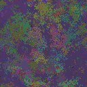 World at epoch 74000