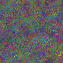 World at epoch 79000