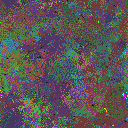 World at epoch 76000