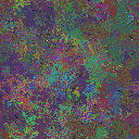 World at epoch 77000