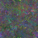 World at epoch 84000