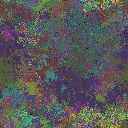 World at epoch 79000