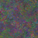 World at epoch 95000
