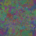 World at epoch 80000