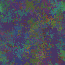 World at epoch 79000