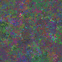 World at epoch 97000