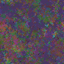 World at epoch 78000