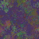 World at epoch 79000