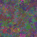 World at epoch 85000