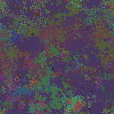 World at epoch 81000