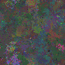 World at epoch 95000