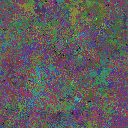 World at epoch 95000