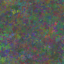 World at epoch 110000