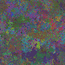 World at epoch 95000