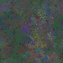 World at epoch 109000