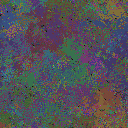 World at epoch 95000
