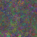 World at epoch 125000