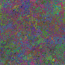 World at epoch 110000