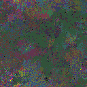 World at epoch 115000