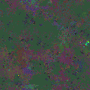 World at epoch 115000