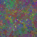 World at epoch 105000
