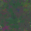 World at epoch 125000