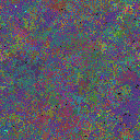 World at epoch 135000