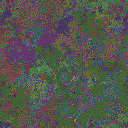 World at epoch 115000