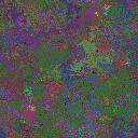 World at epoch 116000