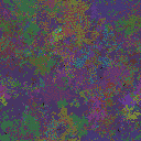World at epoch 115000