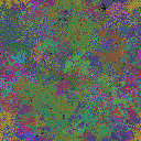 World at epoch 135000