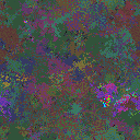 World at epoch 77000