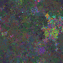 World at epoch 65000