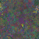 World at epoch 78000