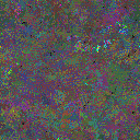 World at epoch 79000