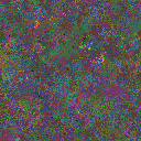 World at epoch 80000